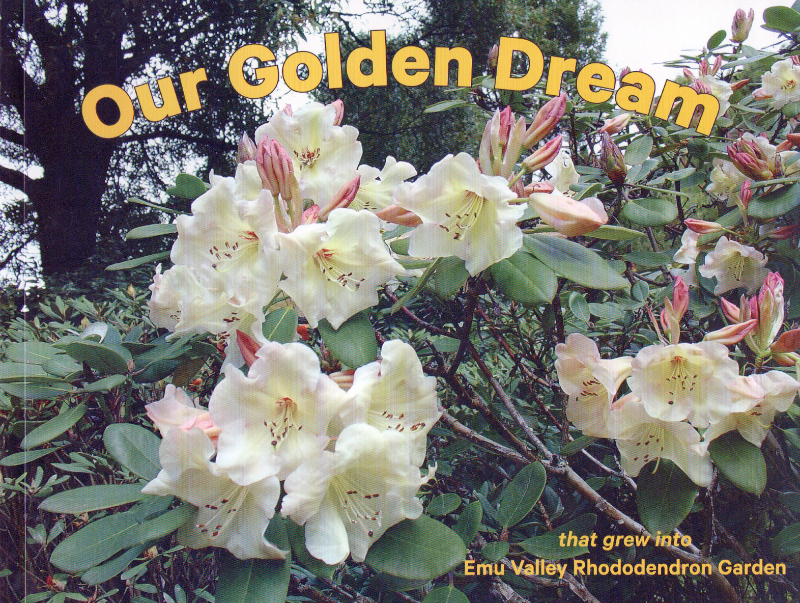 Our Golden Dream Our Golden Dream