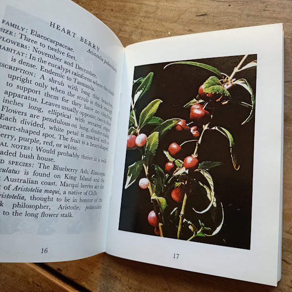 Sample page from pocket sized book Wildflowers of Tasmania