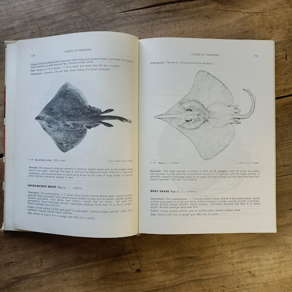 Sample page from Fishes of Tasmania