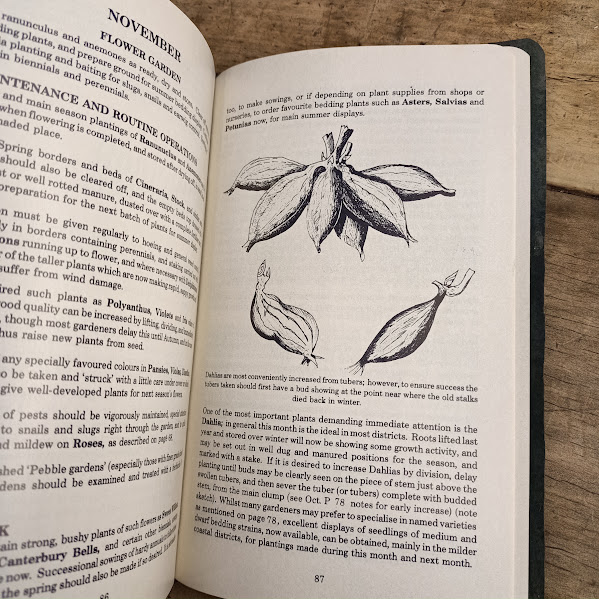 Sample page from TD Raphael's Gardening in Tasmania
