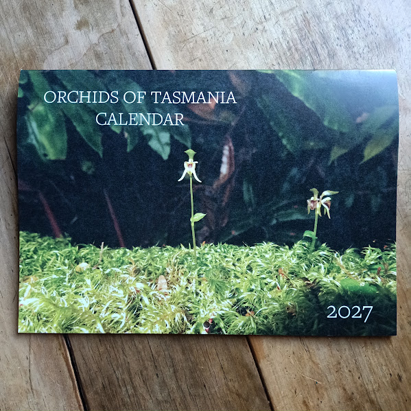 Front of Orchids of Tasmania Calendar 2027