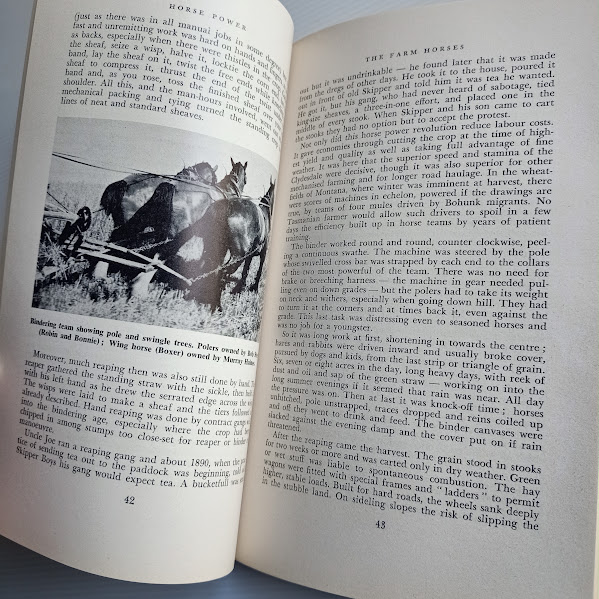 Sample page from Horse Power