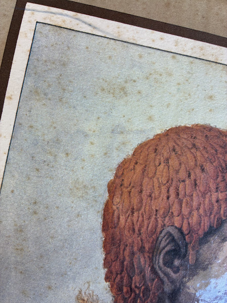 Close up of foxed dustjacket Baudin Expedition and the Tasmanian Aborigines 1802