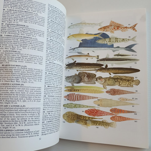 Sample page Sea Fishes of Southern Australia