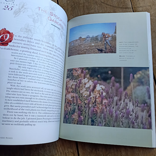 Sample page 1 Garden Thousand Roses