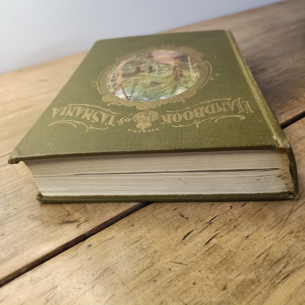 Top edge of pageblock of Handbook of Tasmania 1914