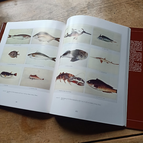 Fish paintings from William Buelow Gould Convict Artist book