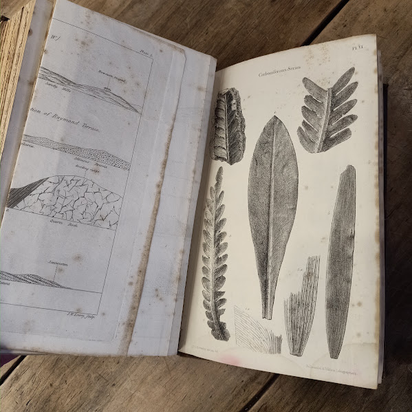 Diagrams page 1 1845 Strzelecki's New South Wales and Van Diemen's Land