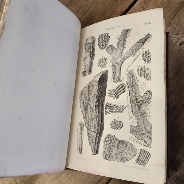 Sample diagrams 2 1845 Strzelecki's New South Wales and Van Diemen's Land