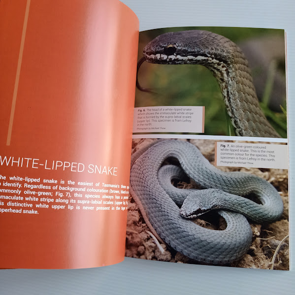 Snakes of Tasmania sample page