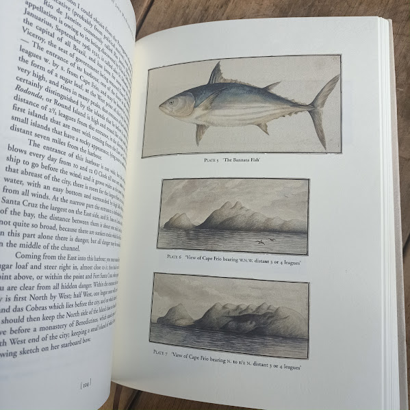 Illustration page from the Minerva Journal