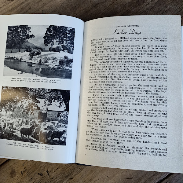Sample pages A Pocketful of Nature by Michael Sharland