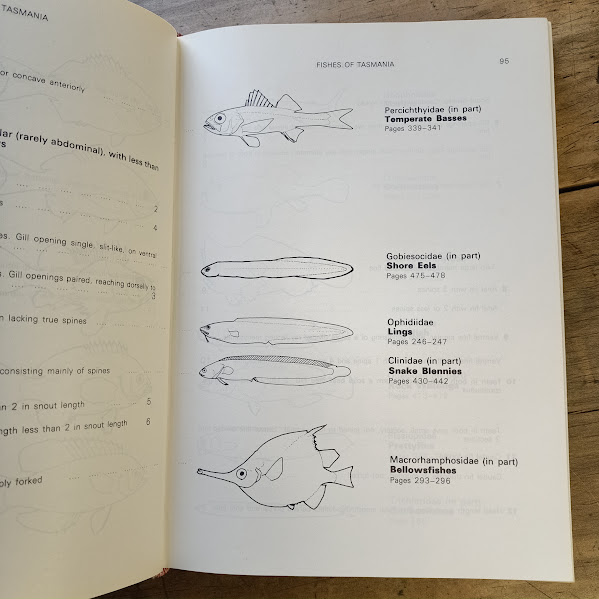 Sample page diagrams from Fishes of Tasmania