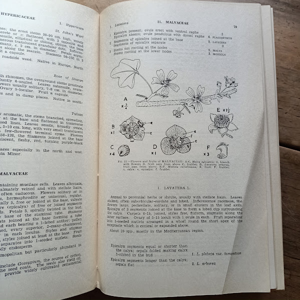 Sample page from Student Flora of Tasmania books showing worn spines