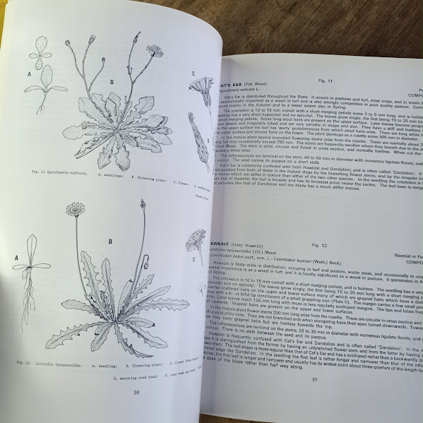 Sample page from Tasmanian Weed Handbook 1975