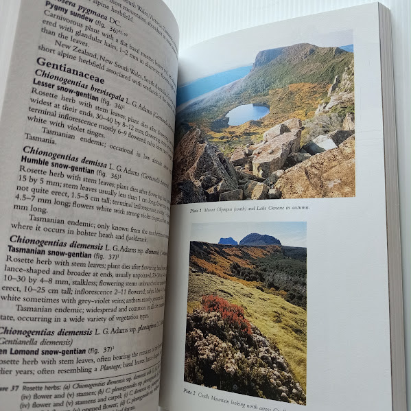 Sample photo page from Alpine Tasmania