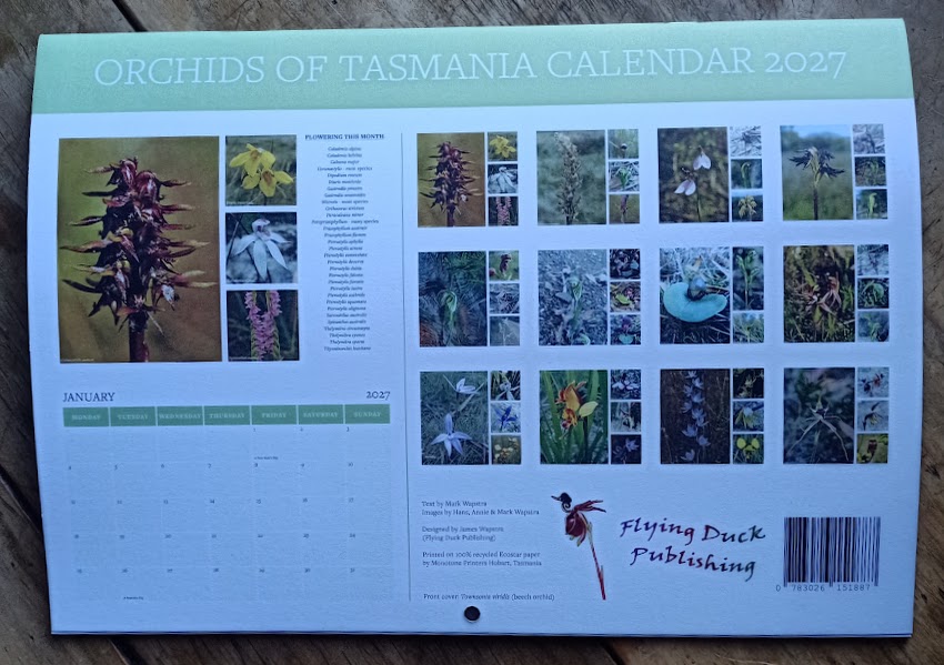 Back of Orchids of Tasmania Calendar 2027