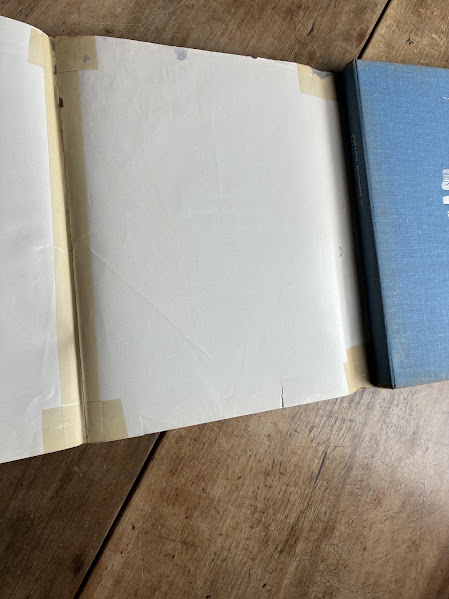 Tape repaired dustjacket of A Million Horses