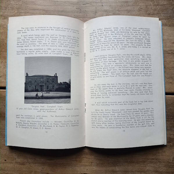 Sample page showing Douglas Park in Reflections on Tasmaniana by Phoebe Wilson