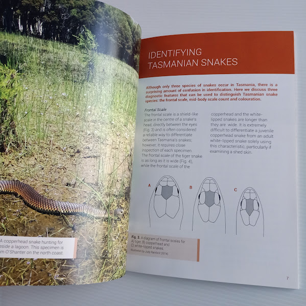 Snakes of Tasmania sample page 2