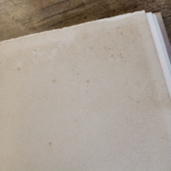 Insect damage on front endpaper of The Uncertain Trout by RH Wigram 1951