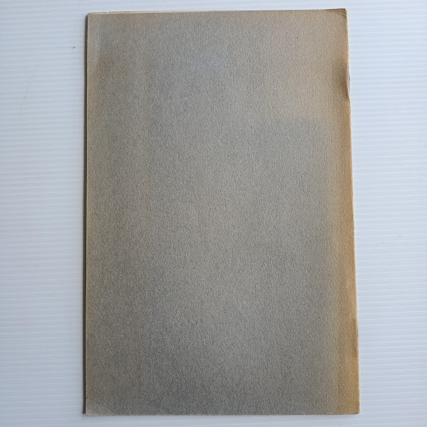 Back cover of Echoes of the Past Shipping Disasters on King Island