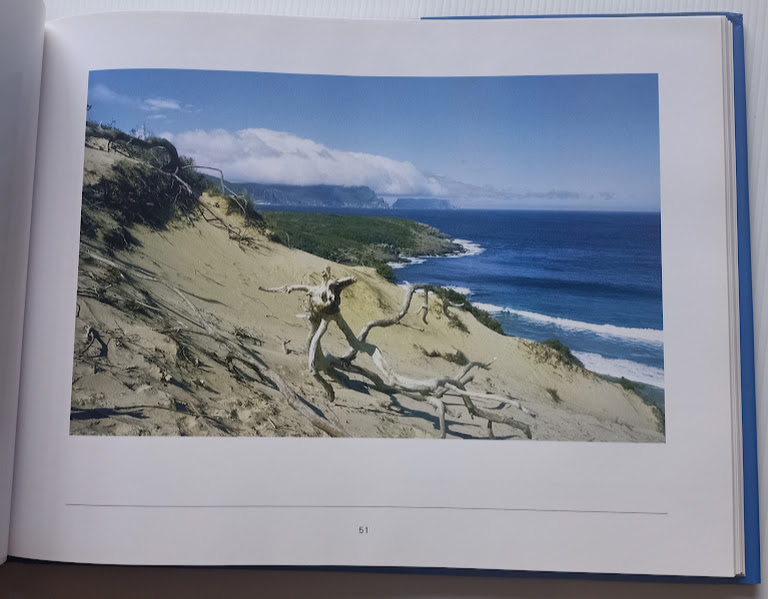 Sample page beach from The Tasmanian Coast by Brettingham-Moore