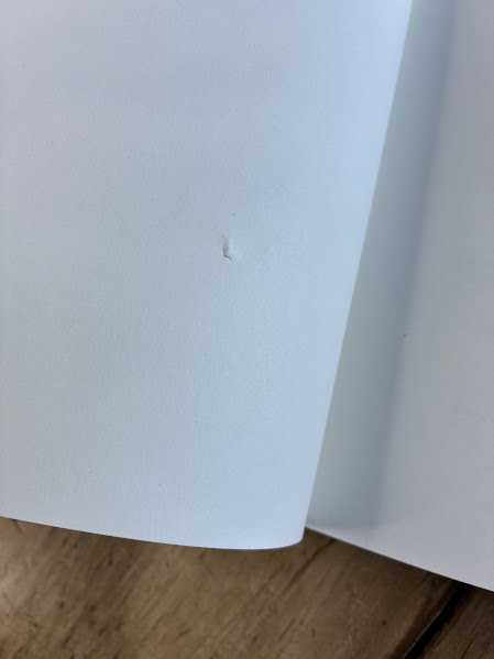 Photo of damage to The Cotton Papers - Land of the Sleeping Gods