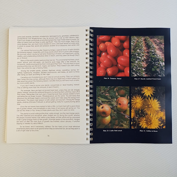 Sample page Peter Cundall year round gardening book