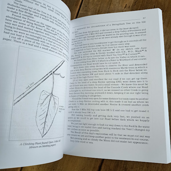 Sample page 2 from Henry Hellyer's Observations