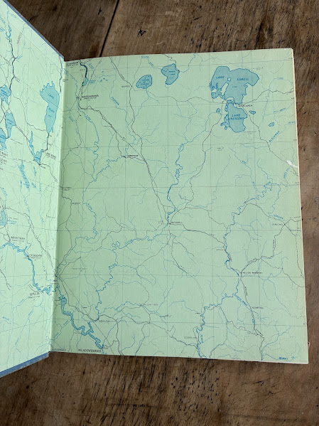 Insect damaged endpapers of A Million Horses