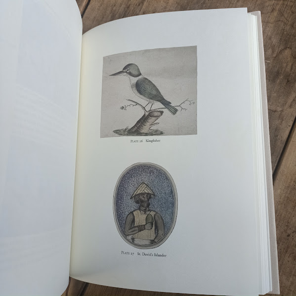 Illustration page 2 from the Minerva Journal
