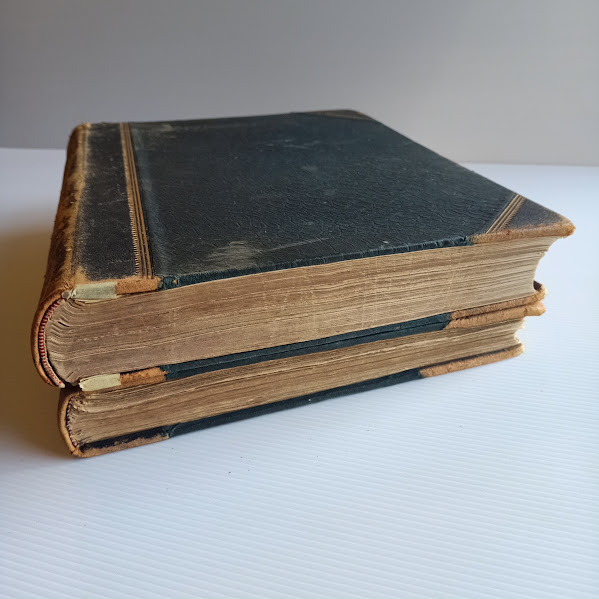 Bottom outer edge The Cyclopedia of Tasmania 1900 2-volume set