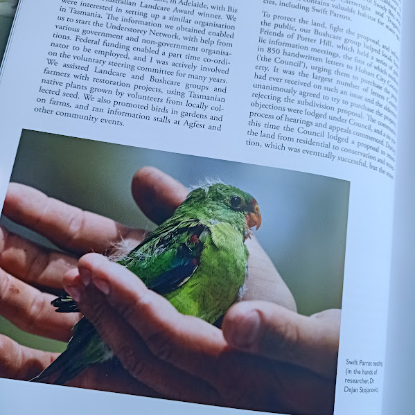 A Life with the Birds swift parrot on the hand