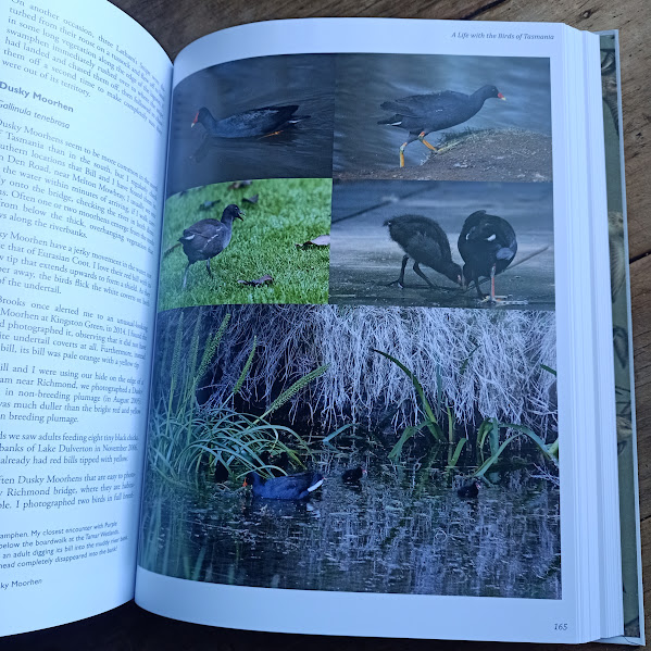 A Life with the Birds waterfowl