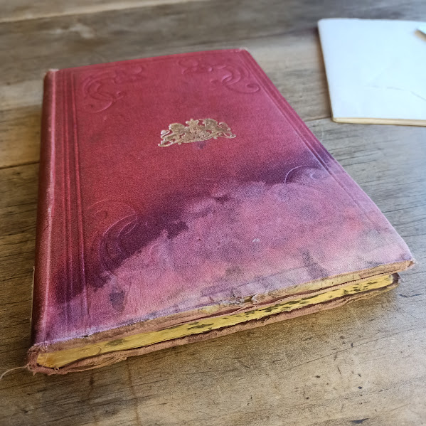 Bailliere's Tasmanian Gazetteer and Road Guide (1877) showing damaged front cover