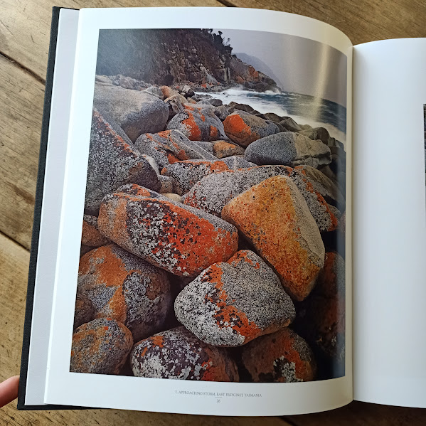Dombrovskis A Photographic Collection orange lichen photograph