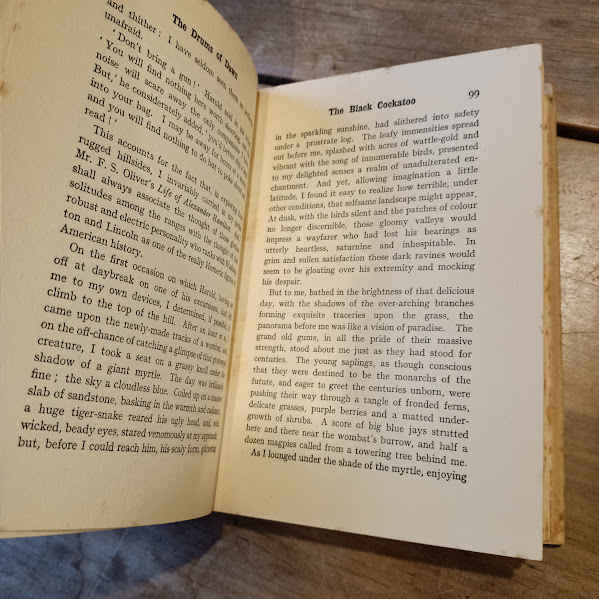 Drums of Dawn FWBoreham pages