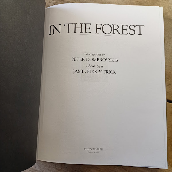 In The Forest title page