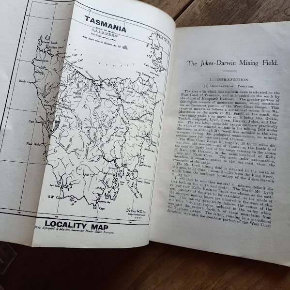 Geological Survey Bulletin No. 16: The Jukes-Darwin Mining Field fold out map