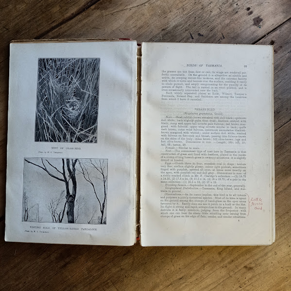 Handbook of the Birds of Tasmania and its dependencies notes in text