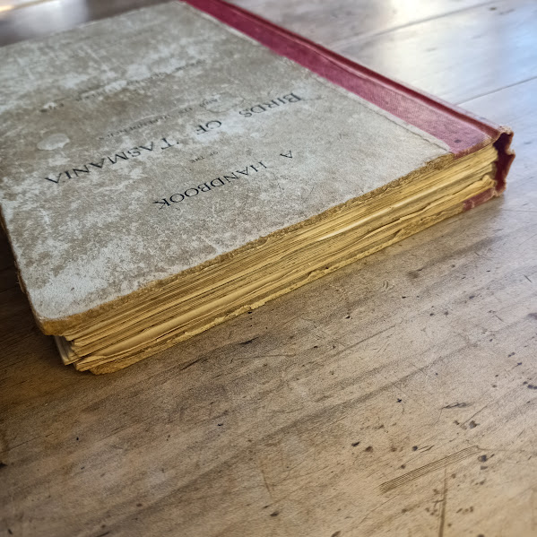 Handbook of the Birds of Tasmania and its dependencies top edge
