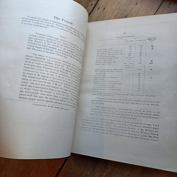 A Monograph of Nototherium Tasmanicum sample text page