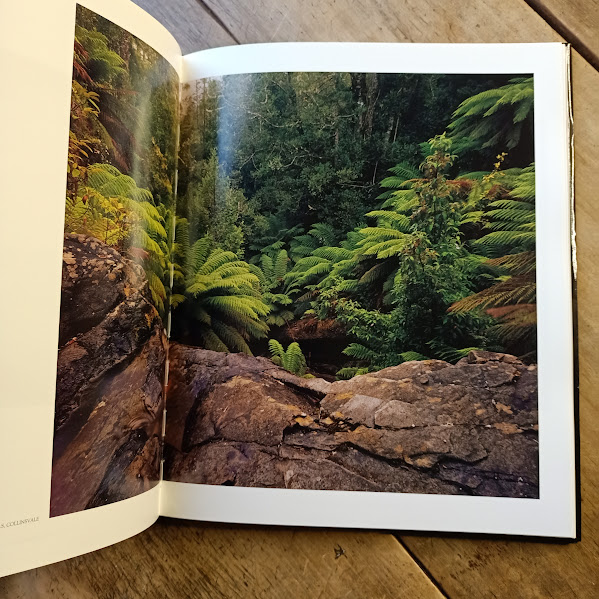 On the Mountain limited edition hardcover ferns photo