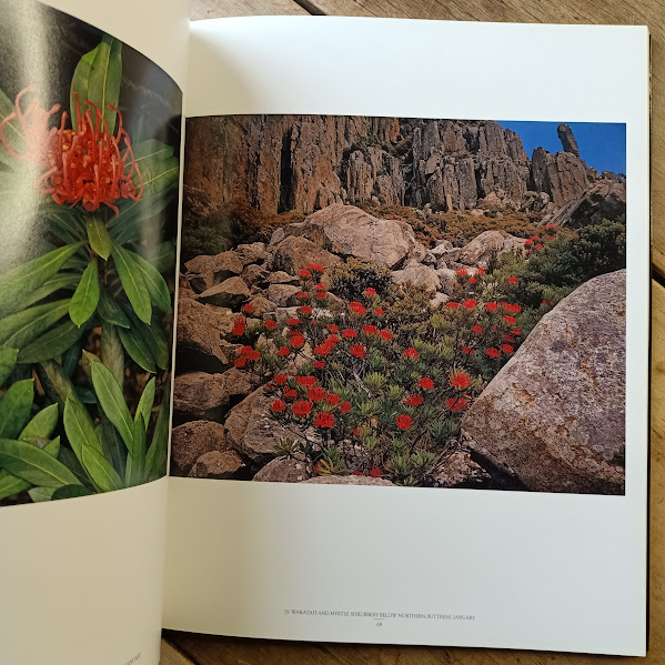 On The Mountain softcover Dombrovskis West Wind Press sample photo page