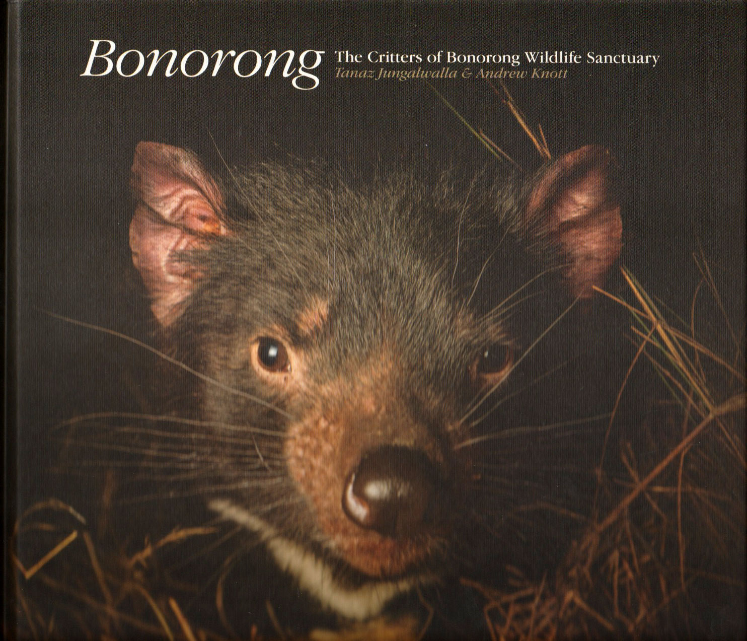 Bonorong - the Critters of Bonorong Sanctuary