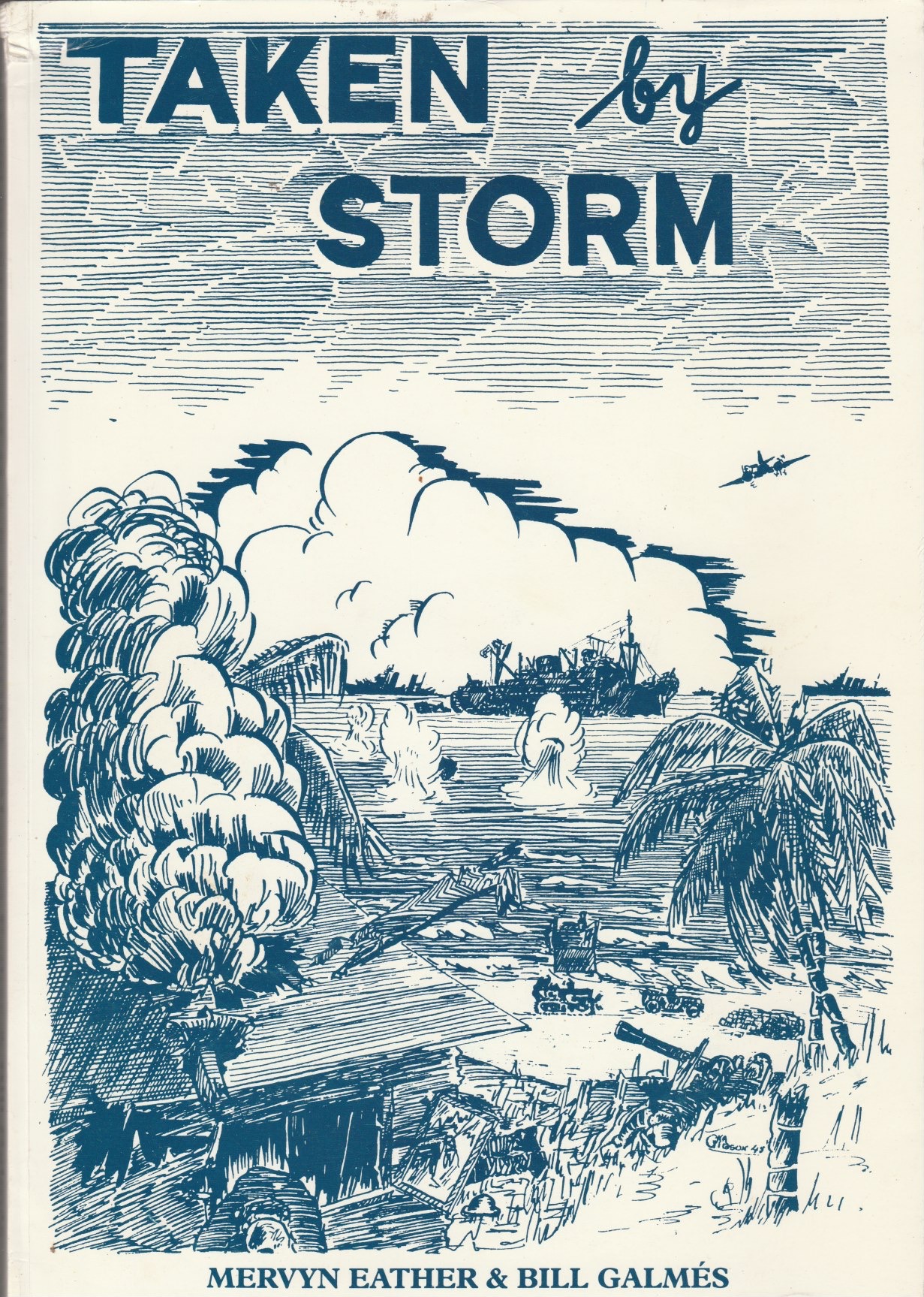 Taken By Storm