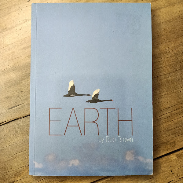 Earth by Bob Brown