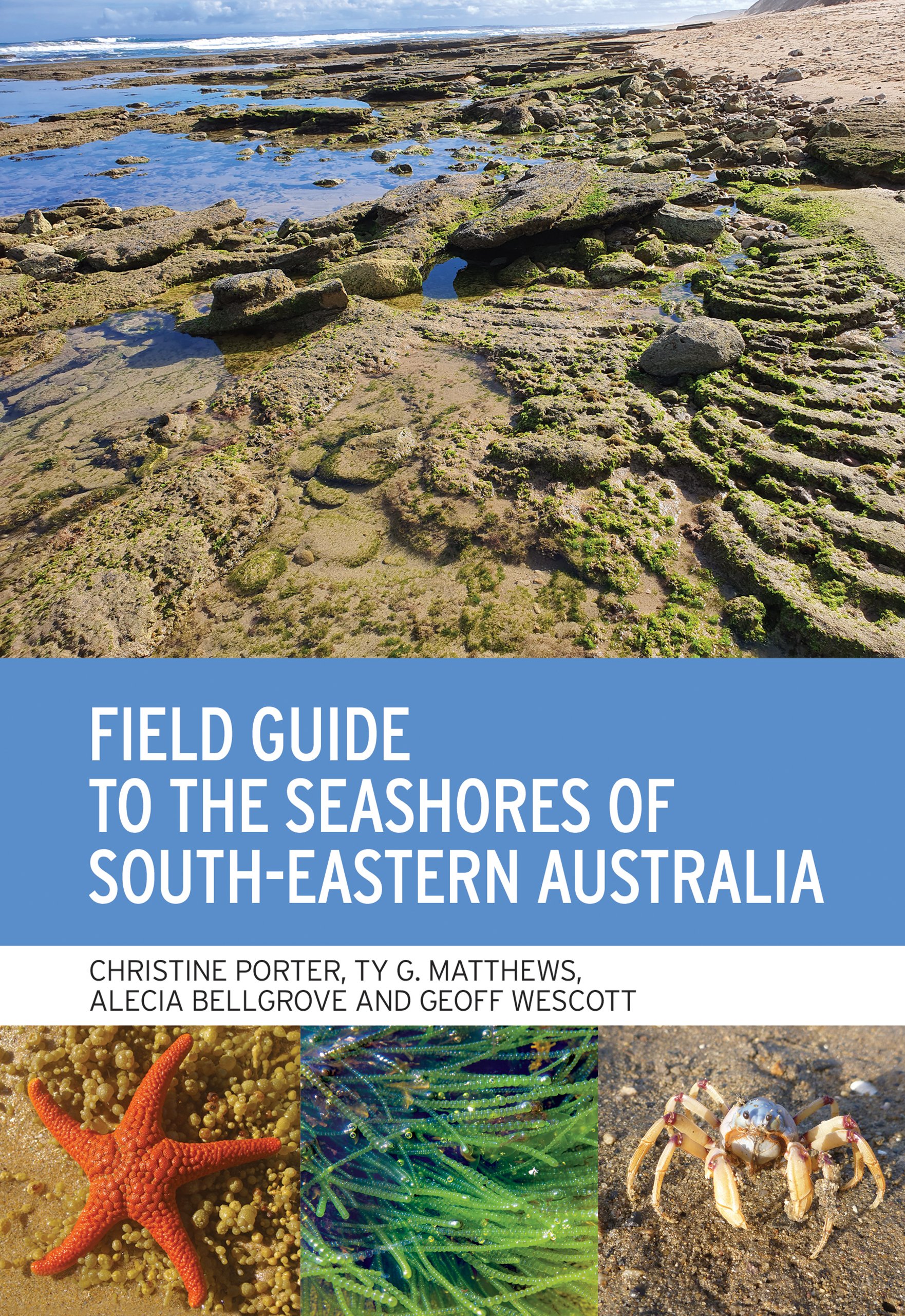 Field Guide to the Seashores of South-Eastern Australia Including Tasmania | Porter, Matthews, Bellgrove & Wescott | 2023 [NEW – SC]