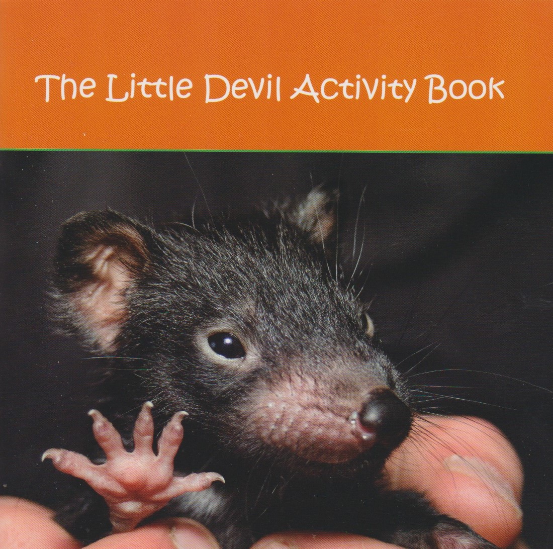 The Little Devil Activity Book